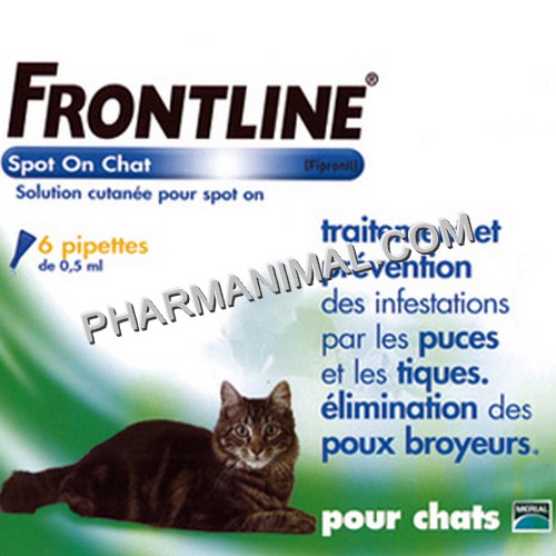 FRONTLINE CHAT PLAQ/6   **